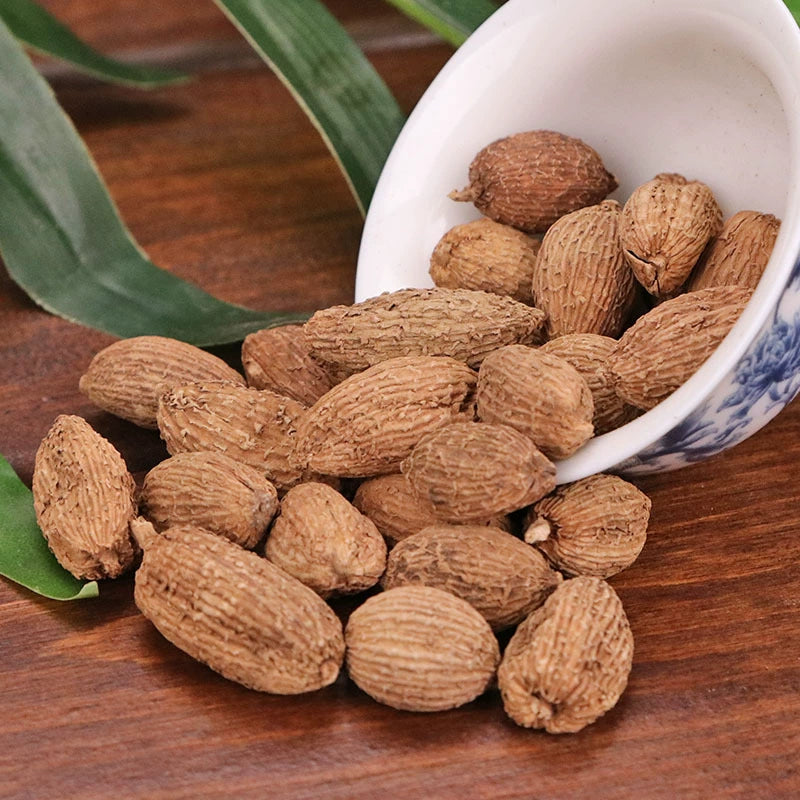 Fructus Amomi Powder Villous Amomum Fruit Herb Powder Sha Ren Fen-Pure Chinese Herb™