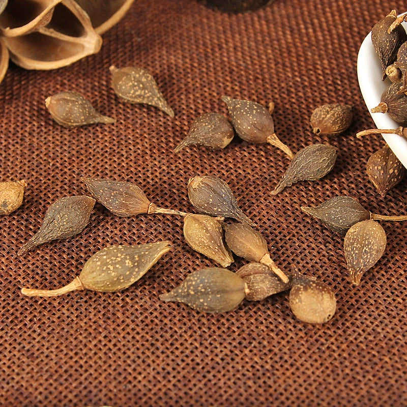 Fructus Forsythiae Powder Weeping Forsythiae Capsule Herb Powder Lian Qiao Fen-Pure Chinese Herb™