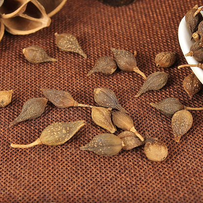 Fructus Forsythiae Powder Weeping Forsythiae Capsule Herb Powder Lian Qiao Fen-Pure Chinese Herb™