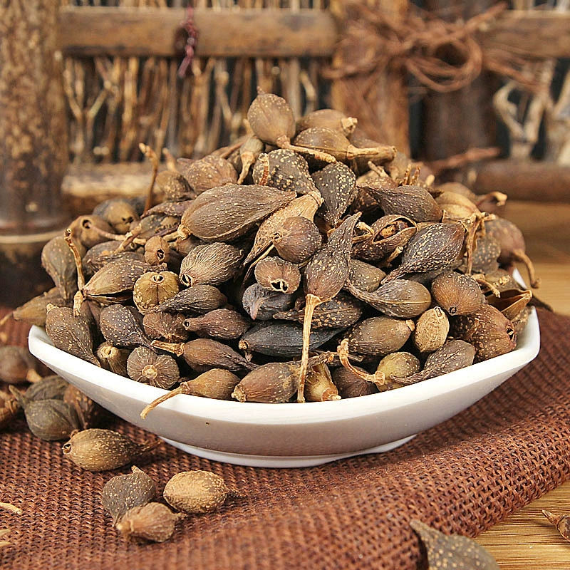 Fructus Forsythiae Powder Weeping Forsythiae Capsule Herb Powder Lian Qiao Fen-Pure Chinese Herb™