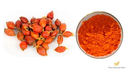 Fructus Gardeniae Extract 20:1 | Cape Jasmine Fruit Extract | Zhi Zi-Pure Chinese Herb™