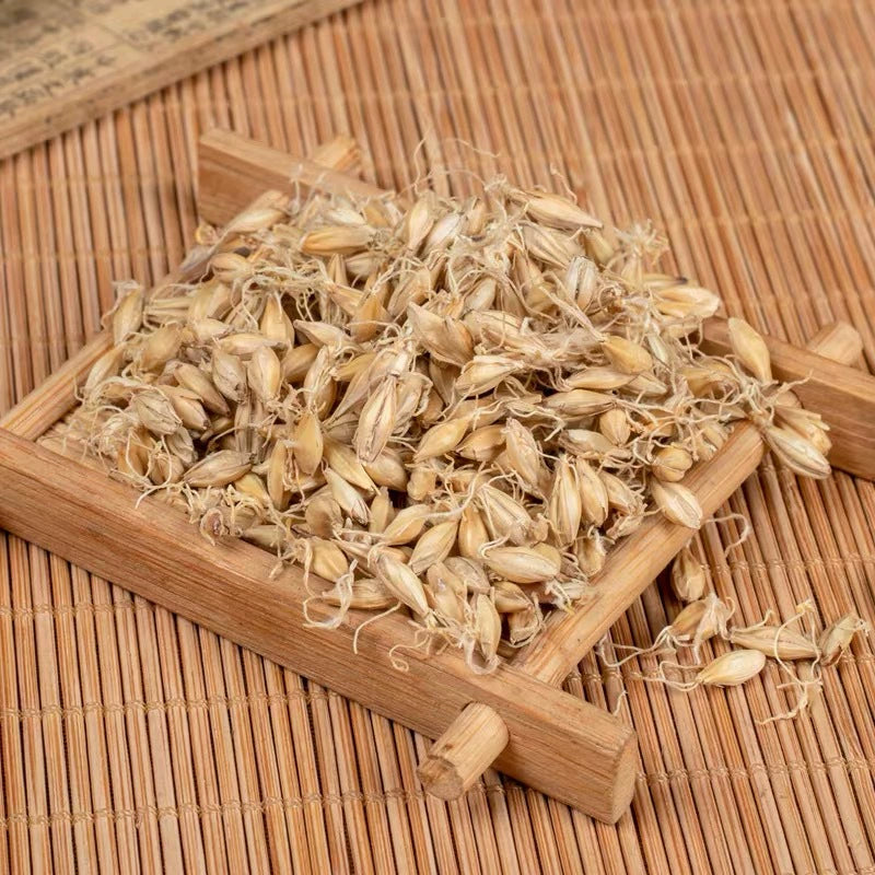 Fructus Hordei Germinatus Powder Raw Malt Herb Powder Sheng Mai Ya Fen-Pure Chinese Herb™