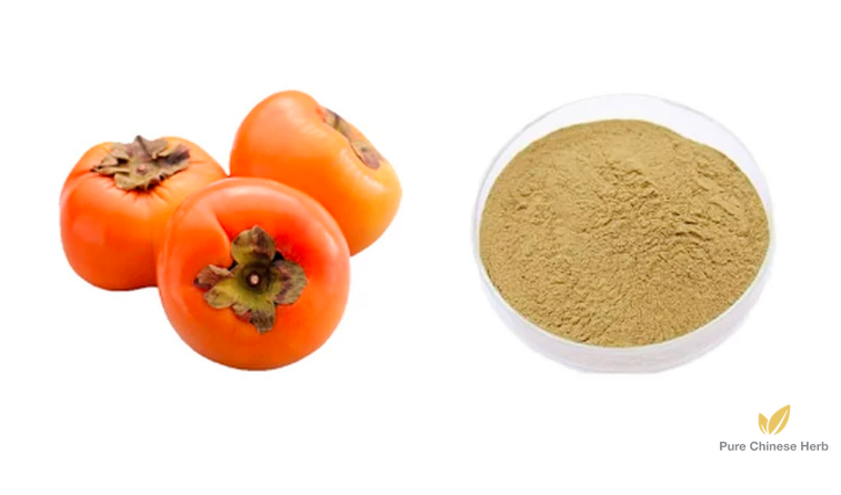 Fructus Kaki Extract 20:1 | Persimmon Fruit | Shi Zi-Pure Chinese Herb™