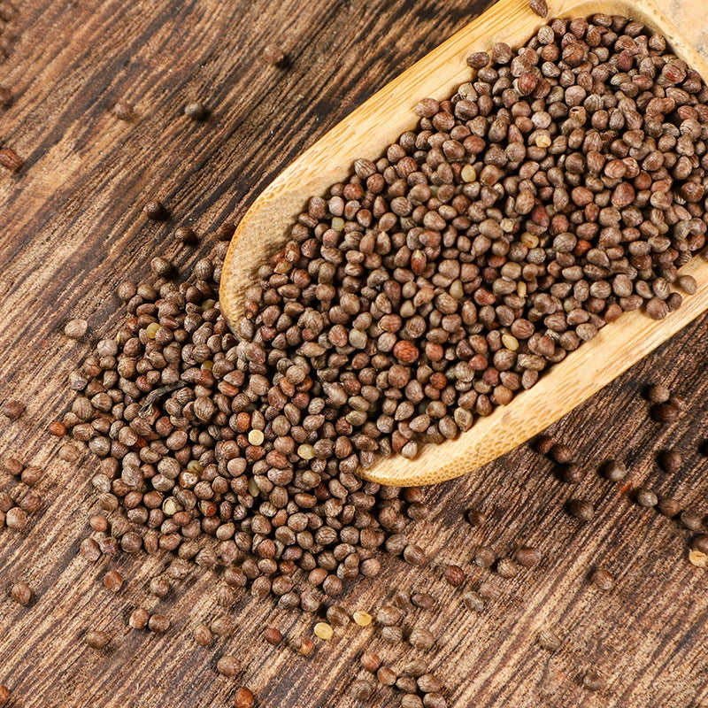 Fructus Perillae Powder Perilla Fruit Herb Powder Zi Su Zi Fen-Pure Chinese Herb™