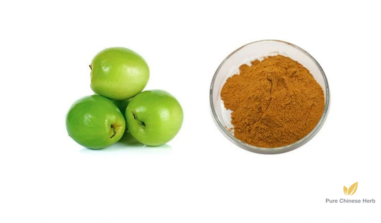 Fructus Phyllanthi Extract 20:1 | Emblic Leafflower Fruit | Yu Gan Zi-Pure Chinese Herb™