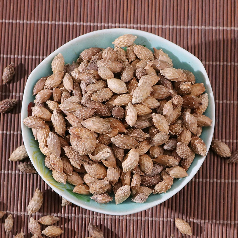 Fructus Xanthii Powder Siberian Cocklour Fruit Herb Powder Cang Er Zi Fen-Pure Chinese Herb™