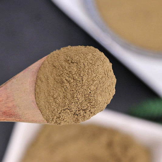 Fruticose Dracaena Leaf Powder Cycas Revoluta Leave Herb Powder Tie Shu Ye Fen-Pure Chinese Herb™