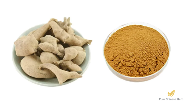 Galla Chinensis Extract 20:1 | Chinese Gall | Wu Bei Zi-Pure Chinese Herb™