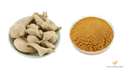 Galla Chinensis Extract 20:1 | Chinese Gall | Wu Bei Zi-Pure Chinese Herb™