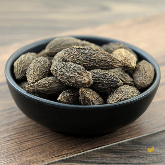 Gan Lan Nucleus Olivaris Fruit of White Canarium Chinese White Olive-Pure Chinese Herb™