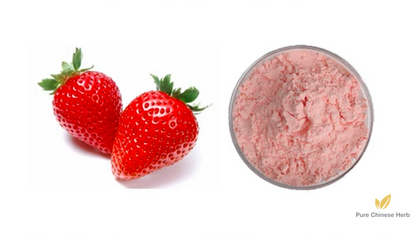 Garden Strawberry Extract 20:1 | Fragaria × Ananassa | Cao Mei-Pure Chinese Herb™