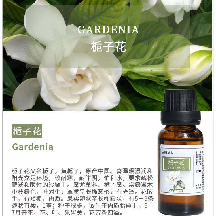 Gardenia Jasminoides Essential Oil | Gardenia Essential Oil | Zhi Zi Hua Jing You-Pure Chinese Herb™