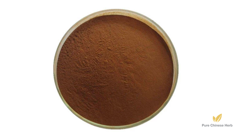 Giant Knotweed Rhizome Extract 50% Resveratrol | Rhizoma Polygoni Cuspidati Extract | Ju Feng Hu Zhang-Pure Chinese Herb™