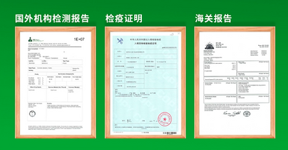 Gleditsia Sinensis Seeds | Chinese Honey Locust | Zao Jia Shu | 100pcs/bag-Pure Chinese Herb™