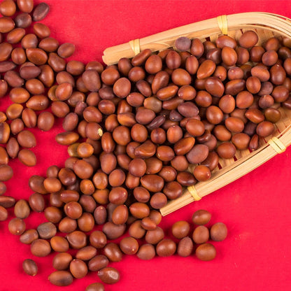 Gleditsia Sinensis Seeds | Chinese Honey Locust | Zao Jia Shu | 100pcs/bag-Pure Chinese Herb™