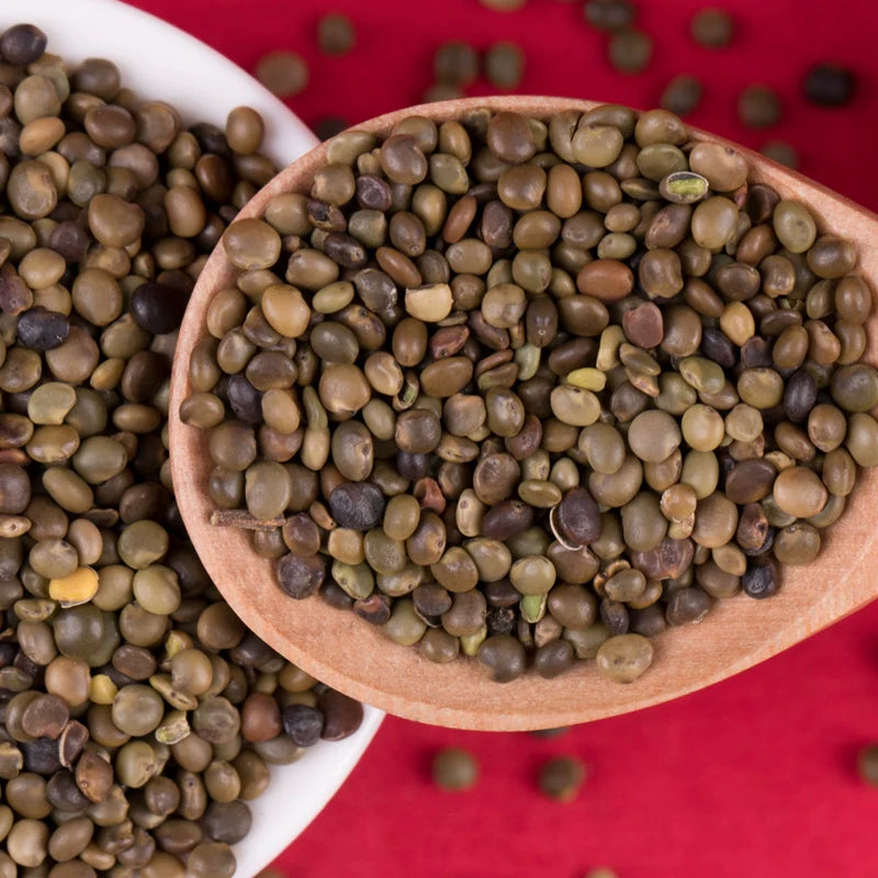 Glycyrrhiza Uralensis Seeds | Chinese Liquorice | Gan Cao | 200pcs/bag-Pure Chinese Herb™