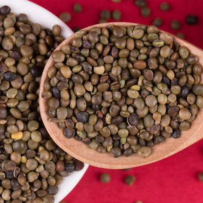 Glycyrrhiza Uralensis Seeds | Chinese Liquorice | Gan Cao | 200pcs/bag-Pure Chinese Herb™