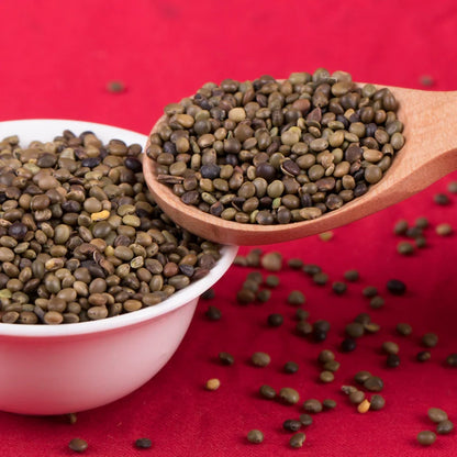 Glycyrrhiza Uralensis Seeds | Chinese Liquorice | Gan Cao | 200pcs/bag-Pure Chinese Herb™
