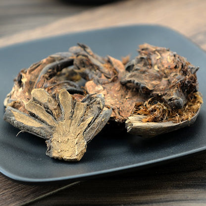Guan Zhong Rhizoma Cyrtomii Cyrtomium Rhizome-Pure Chinese Herb™