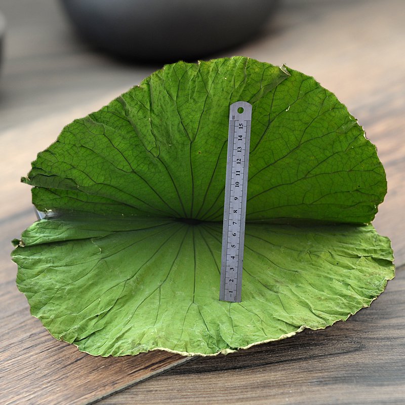 He Ye Folium Nelumbinis Lotus Leaf Nelumbo Nucifera Gaertn.-Pure Chinese Herb™