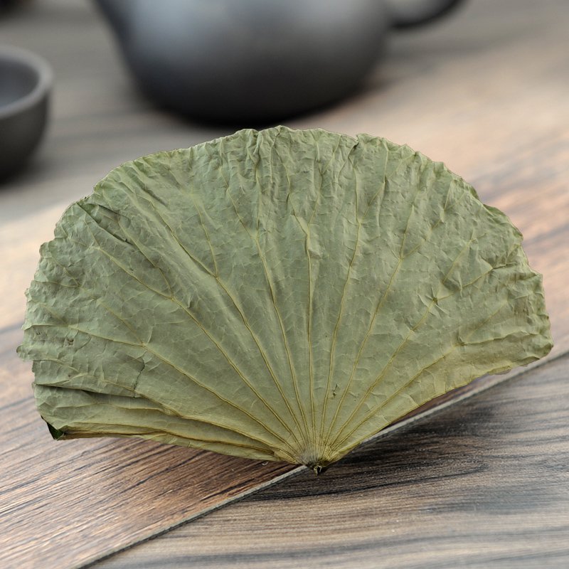 He Ye Folium Nelumbinis Lotus Leaf Nelumbo Nucifera Gaertn.-Pure Chinese Herb™