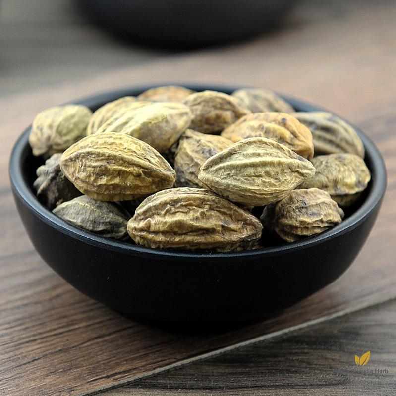 He Zi Medicine Terminalia Fruit Fructus Chebulae Terminalia Chebula Retz.-Pure Chinese Herb™