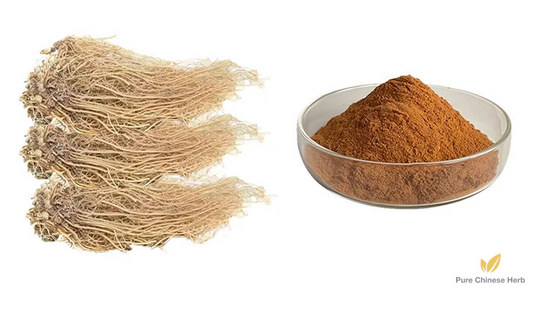 Herba Asari Extract 20:1 | Manchurian Wildginger | Xi Xin-Pure Chinese Herb™