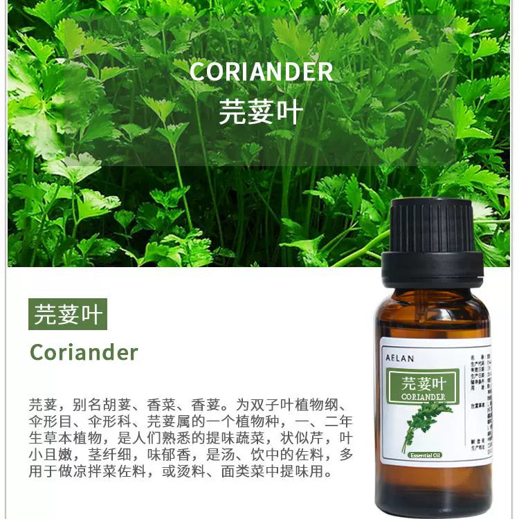 Herba Coriandri Sativi Essential Oil | Coriander | Yan Sui Ye Jing You-Pure Chinese Herb™