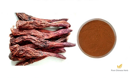 Herba Cynomorii Extract 20:1 | Songaria Cynomorium Herb Extract | Suo Yang-Pure Chinese Herb™