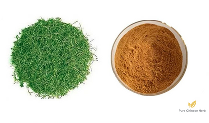 Herba Gynostemmatis Extract 20:1 | Fiveleaf Gynostemma Herb | Jiao Gu Lan-Pure Chinese Herb™
