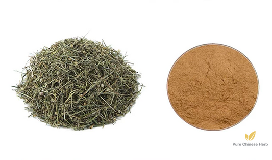 Herba Hedyotidis Diffusae Extract 20:1 | Spreading Hedyotis Herb Extract | Bai Hua She She Cao-Pure Chinese Herb™