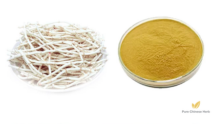 Herba Houttuyniae Extract 20:1 | Heartleaf Houttuynia Herb Extract | Yu Xing Cao-Pure Chinese Herb™