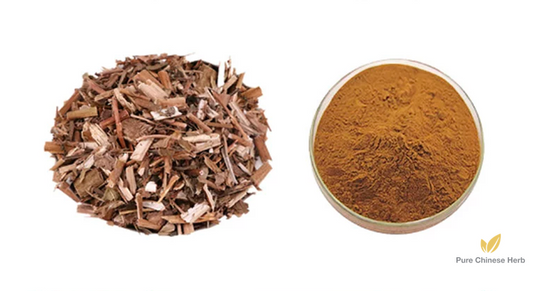 Herba Patriniae Extract 20:1 | Dahurian Patrinia Herb Extract | Bai Jiang Cao-Pure Chinese Herb™