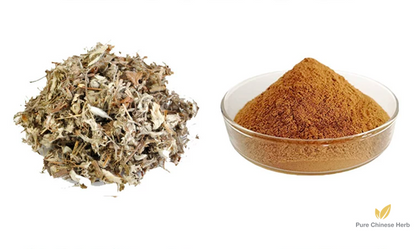 Herba Potentillae Discoloris Extract 20:1 | Discolor Cinquefoil Herb Extract | Bian Se Wei Ling Cai-Pure Chinese Herb™