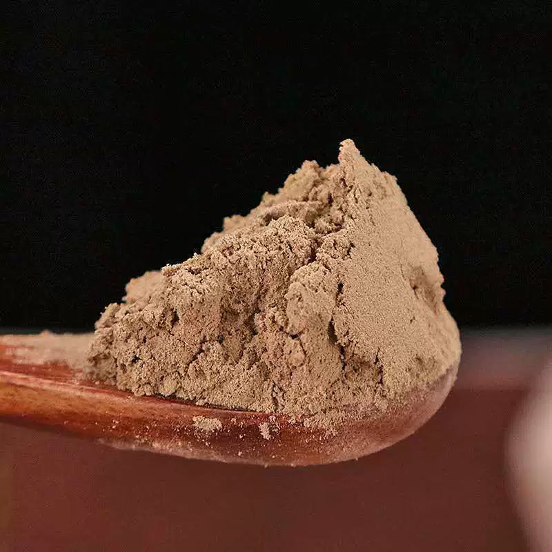 Herba Taxilli Powder Chinese Taxillus Twig Herb Powder Sang Ji Sheng Fen-Pure Chinese Herb™