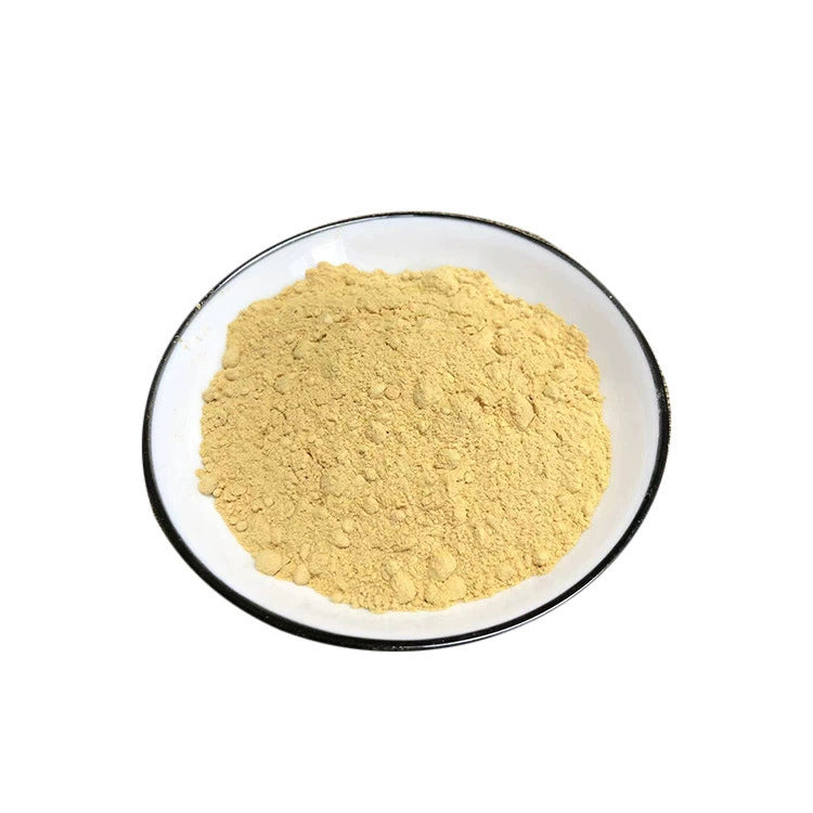 Hericium Erinaceus Powder Lion's Mane Herb Powder Hou Tou Gu Fen-Pure Chinese Herb™