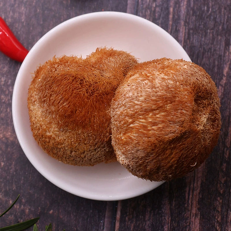 Hericium Erinaceus Powder Lion's Mane Herb Powder Hou Tou Gu Fen-Pure Chinese Herb™