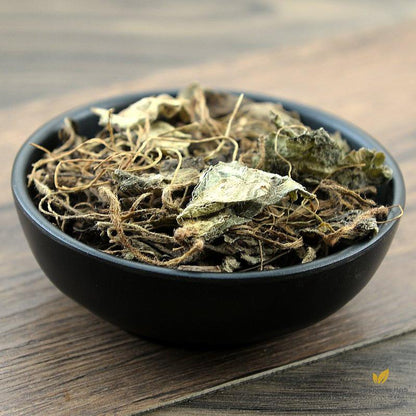 Hu Er Cao Herba Saxifragae Saxifrage Saxifraga Stolonifera Curt.-Pure Chinese Herb™