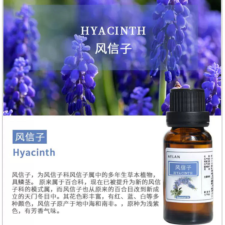 Hyacinthus orientalis Essential Oil | Hyacinth Essential Oil | Feng Xin Zi Jing You-Pure Chinese Herb™
