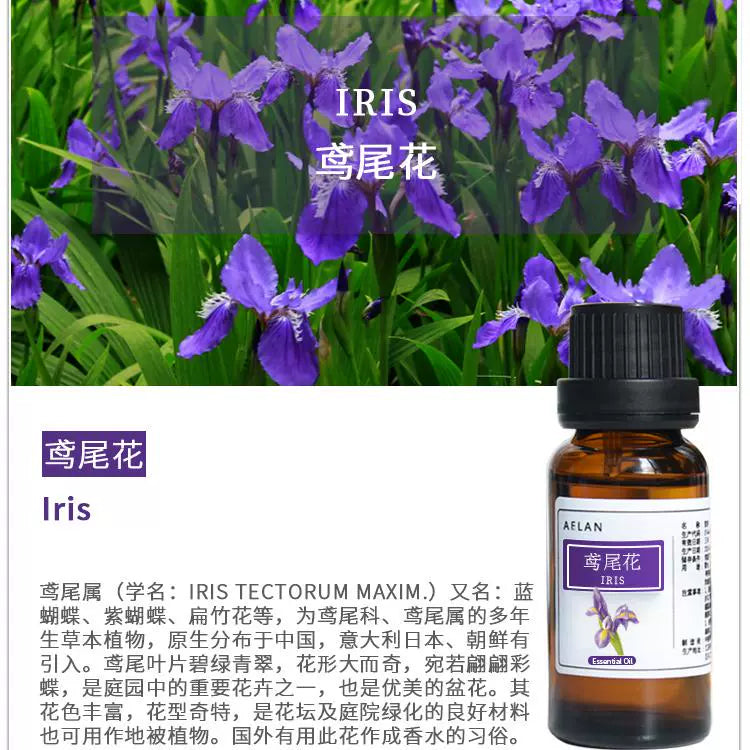 Iris Tectorum Essential Oil | Iris Essential Oil | Yuan Wei Hua Jing You-Pure Chinese Herb™