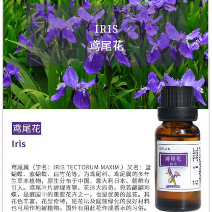 Iris Tectorum Essential Oil | Iris Essential Oil | Yuan Wei Hua Jing You-Pure Chinese Herb™