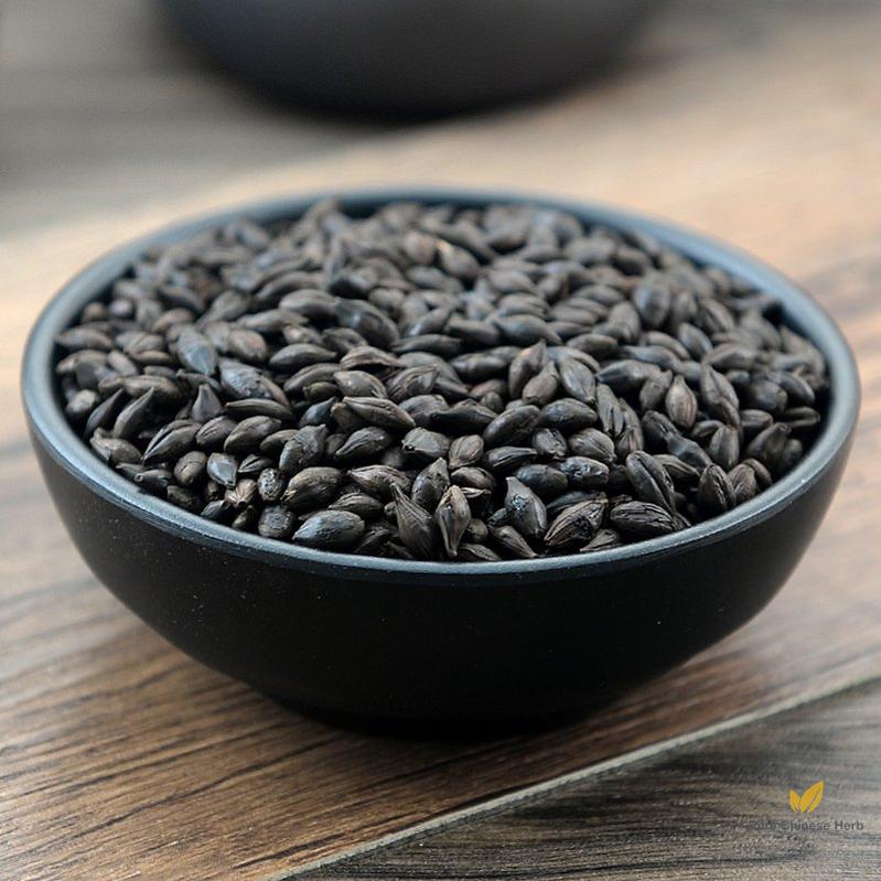 Jiao Mai Ya Malt Fructus Hordei Germinatus Germinant Hordeum Vulgare L.-Pure Chinese Herb™