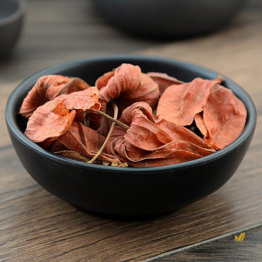 Jin Deng Long Calyx seu Fructus Physalis Franchet Groundcherry Calyx and Fruit-Pure Chinese Herb™