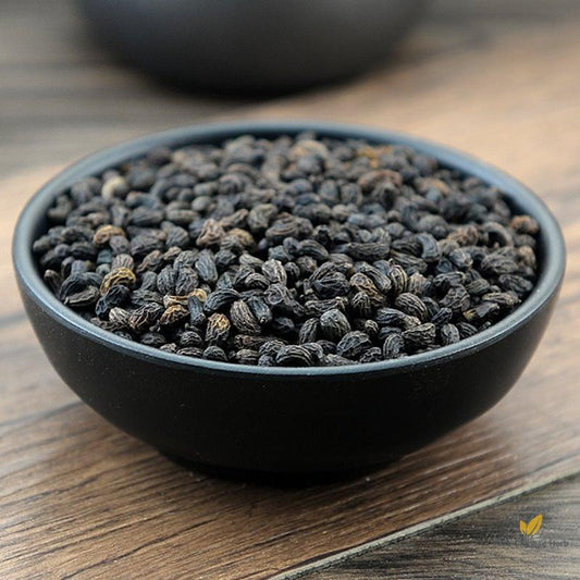 Jiu Nv Zhen Zi Glossy Privet Fruit Fructus Ligustri Lucidi-Pure Chinese Herb™