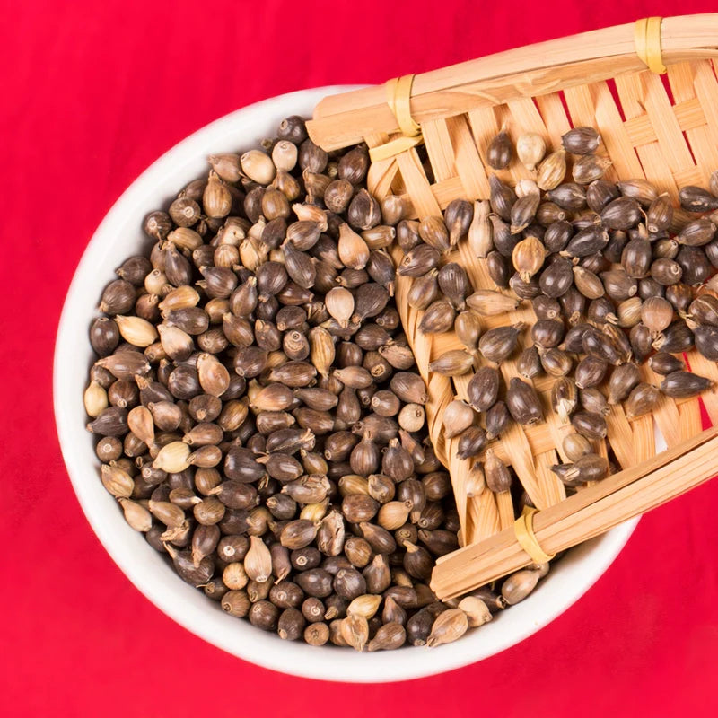 Job's Tears Seeds | Coix Chinensis | Yi Yi | 200pcs/bag-Pure Chinese Herb™