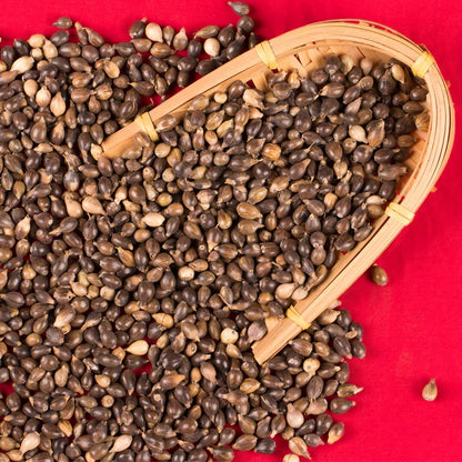 Job's Tears Seeds | Coix Chinensis | Yi Yi | 200pcs/bag-Pure Chinese Herb™