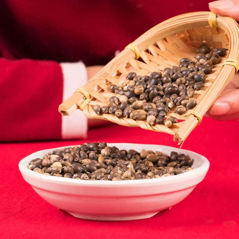 Job's Tears Seeds | Coix Chinensis | Yi Yi | 200pcs/bag-Pure Chinese Herb™
