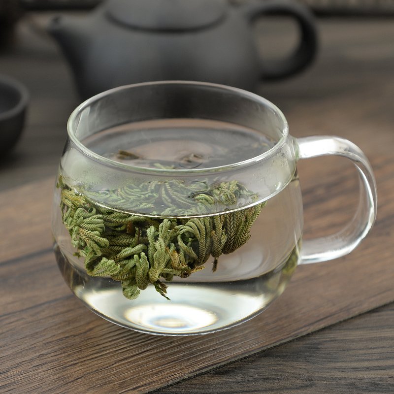 Juan Bai Herba Selaginellae Tamariskoid Spikemoss Herb-Pure Chinese Herb™
