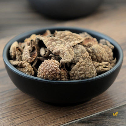 Li Zhi Ke Exocarpium Litchi Lychee Exocarp Litchi Chinensis Sonn-Pure Chinese Herb™