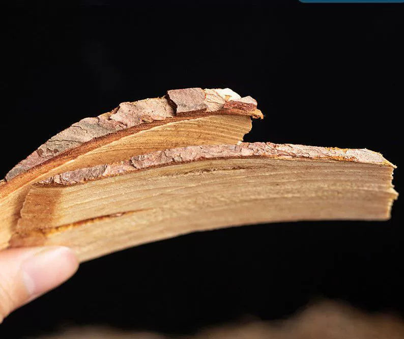 Lignum Pini Nodi Powder Pine Nodular Branch Herb Powder You Song Jie Fen-Pure Chinese Herb™